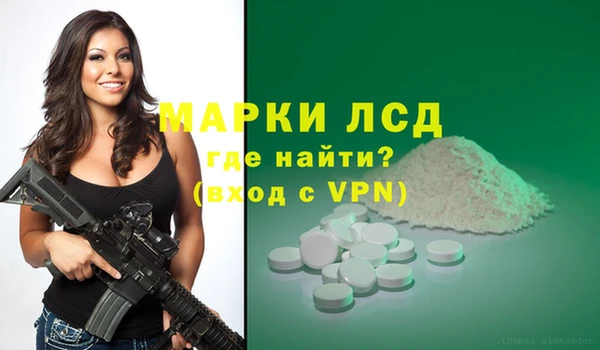 гидра Михайловка