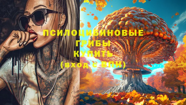 кокаин перу Михайлов