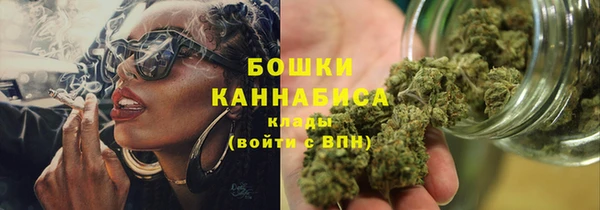 гидра Михайловка