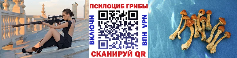 продажа наркотиков  Черняховск  KRAKEN ONION  Галлюциногенные грибы ЛСД 
