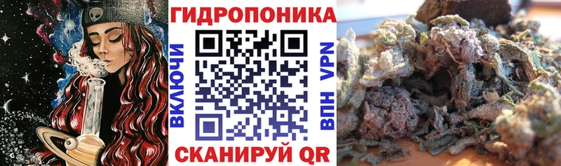 Конопля Amnesia  закладки  Черняховск 